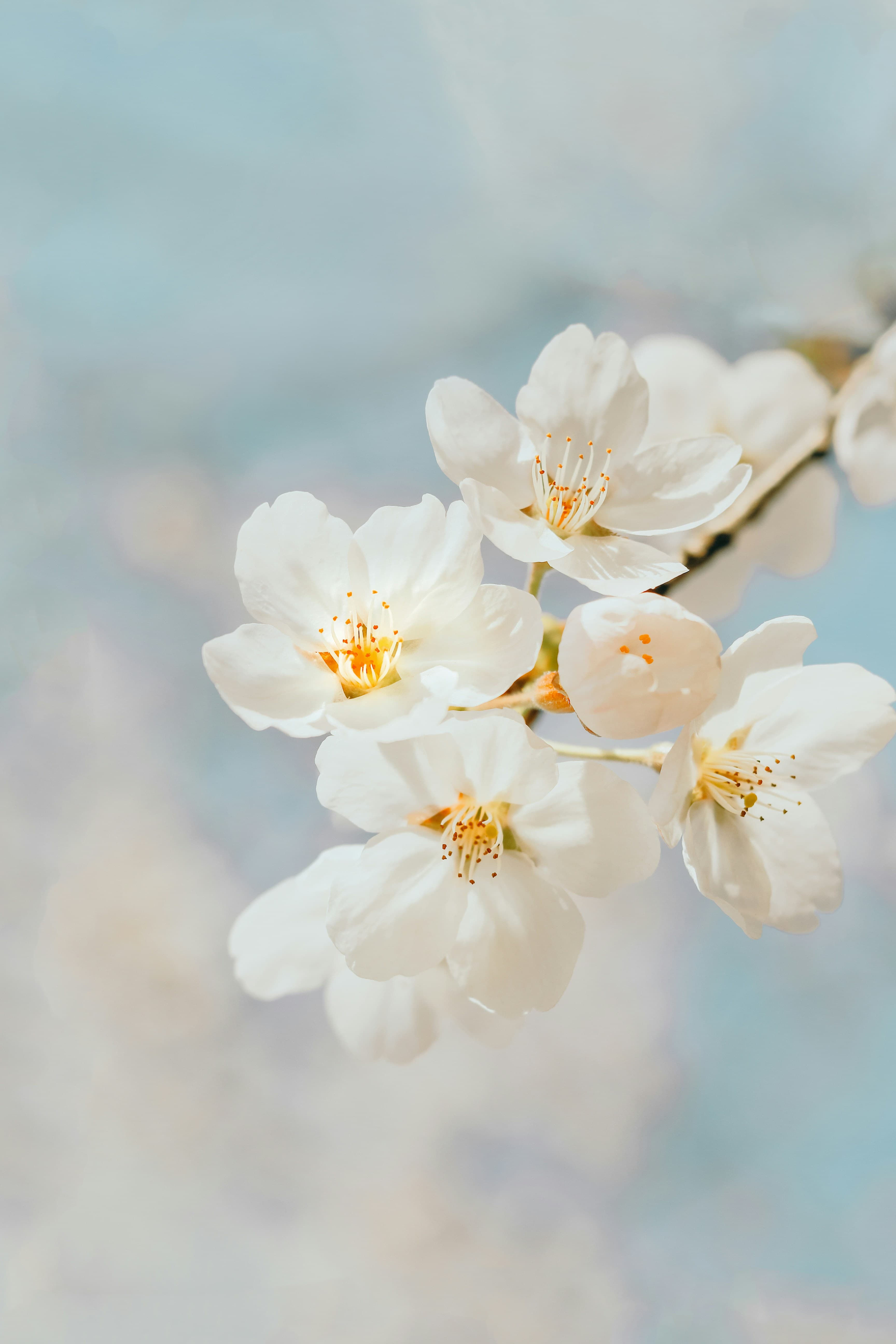 How to Write a Haiku with AI